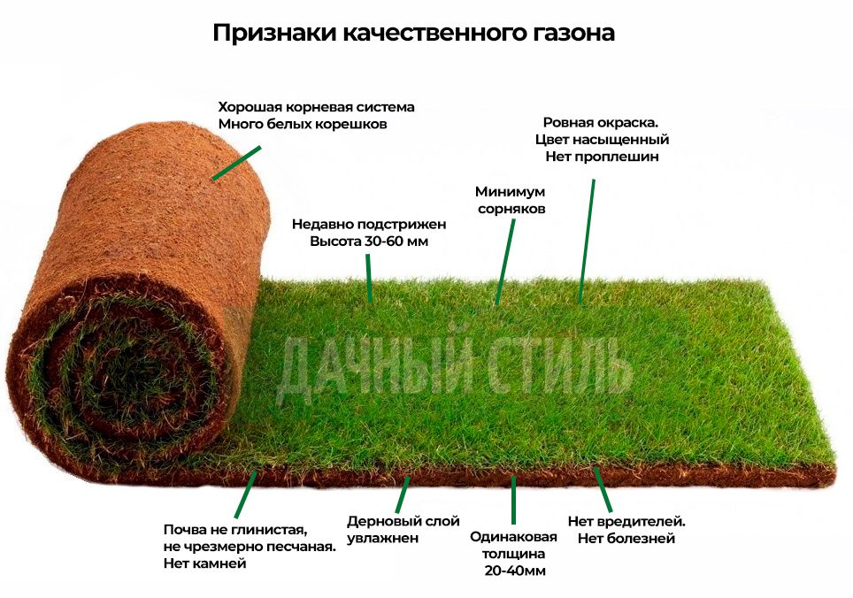 рулонный-газон